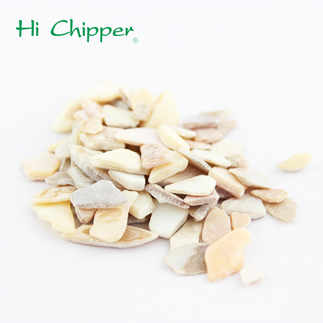 sea shell chips